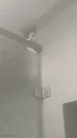 Acid GIFs, June 4 (25 gifs) Acid GIFs, June 4 (25 gifs)