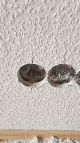 Acid GIFs, June 4 (25 gifs) Acid GIFs, June 4 (25 gifs)