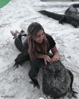 Acid GIFs, June 4 (25 gifs) Acid GIFs, June 4 (25 gifs)