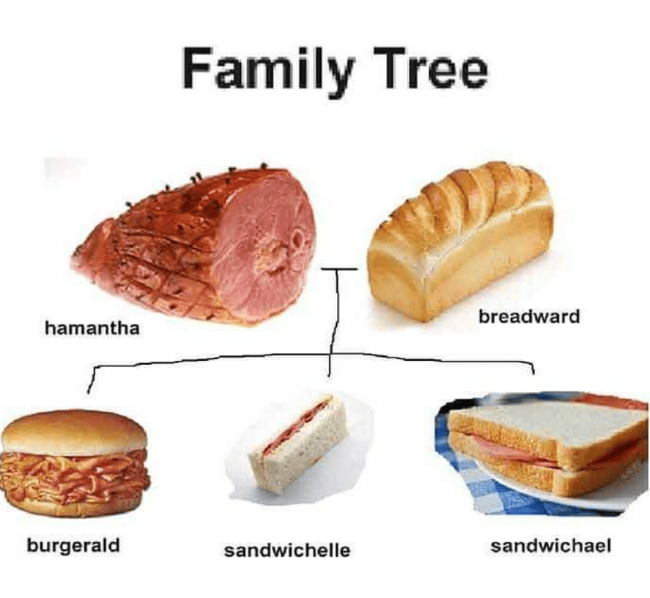 Random Memes (21 pics)