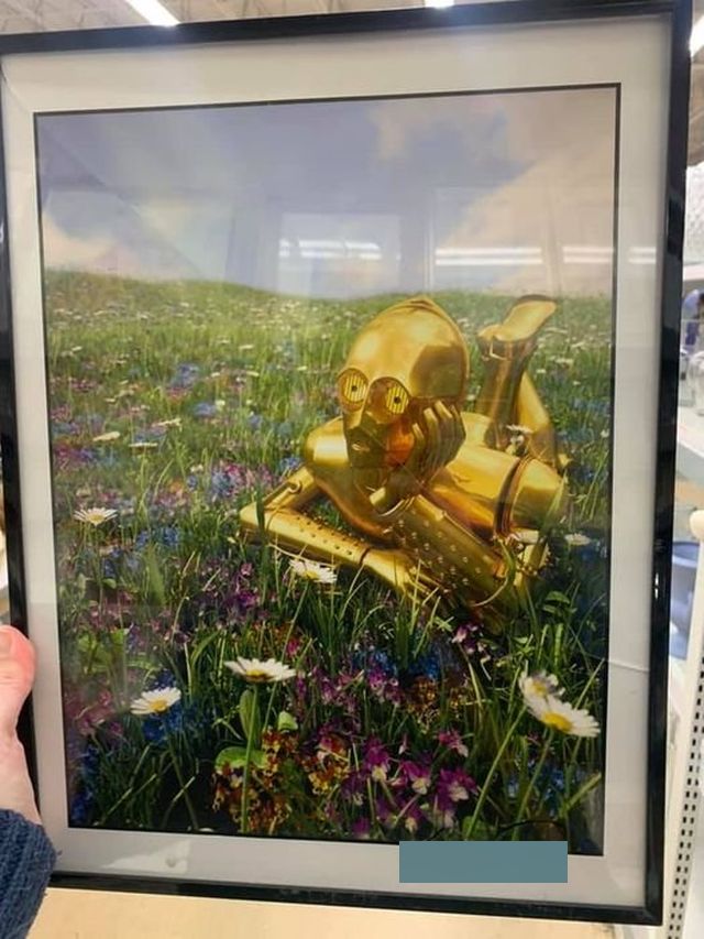Strange Finds In Thrift Shops (18 pics)
