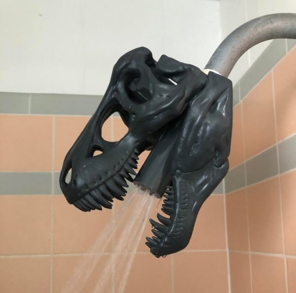 Strange Finds In Thrift Shops (18 pics)