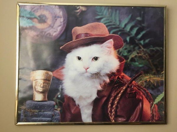 Strange Finds In Thrift Shops (18 pics)