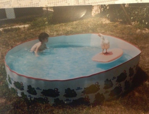 Weird Family Photos (19 pics) Weird Family Photos (19 pics)