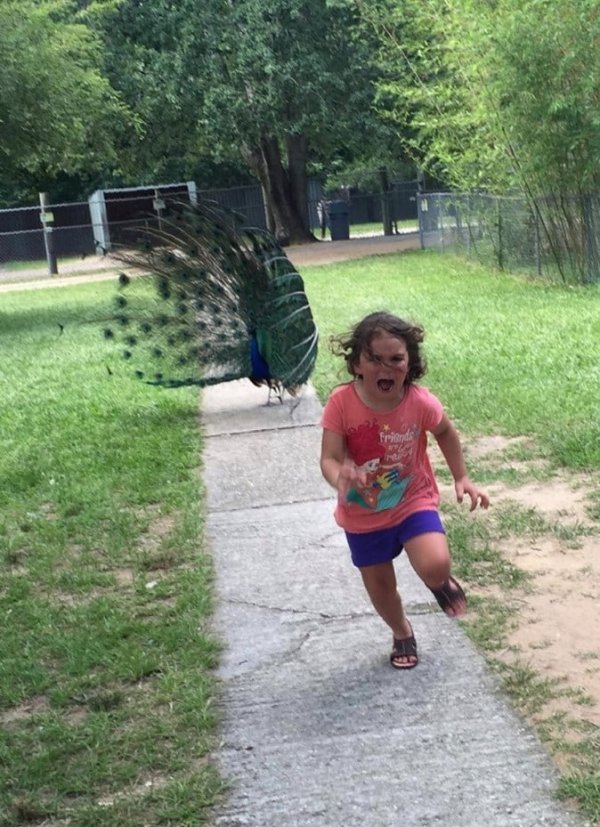 Weird Family Photos (19 pics) Weird Family Photos (19 pics)