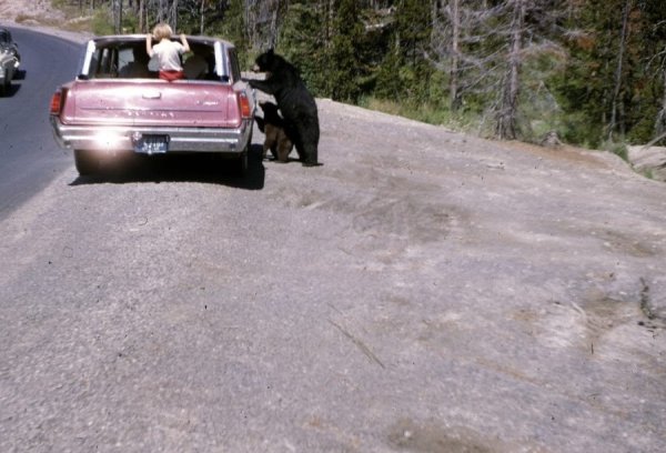 Weird Family Photos (19 pics) Weird Family Photos (19 pics)