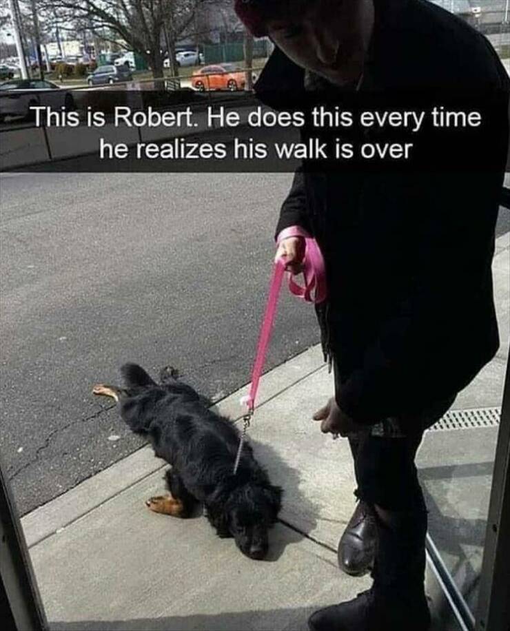 Daily Pictures. Part 2 (71 pics)
