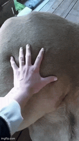 Acid GIFs, June 5 (25 gifs)