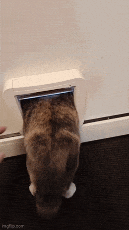 Acid GIFs, June 5 (25 gifs)