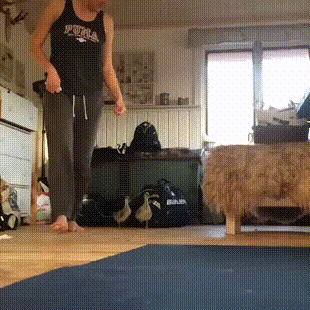 Acid GIFs, June 5 (25 gifs)