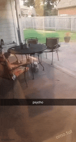 Acid GIFs, June 5 (25 gifs)