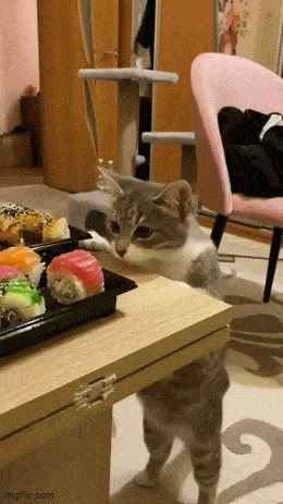 Acid GIFs, June 5 (25 gifs)