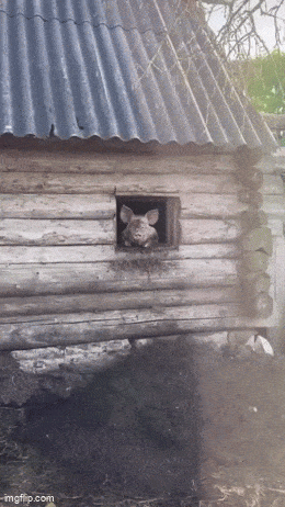 Acid GIFs, June 5 (25 gifs)