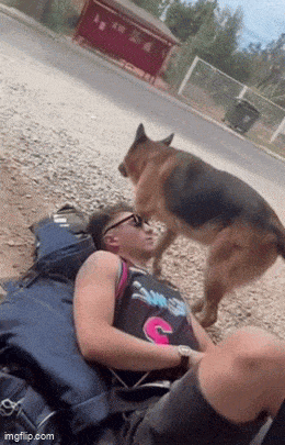 Acid GIFs, June 5 (25 gifs)
