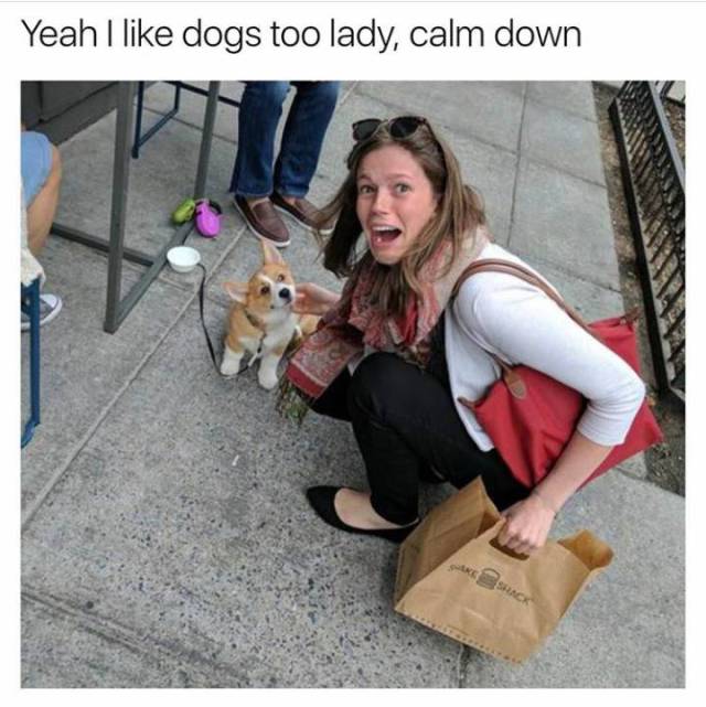 Daily Pictures. Part 2 (71 pics)