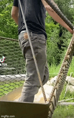 Acid GIFs, June 8 (25 gifs)