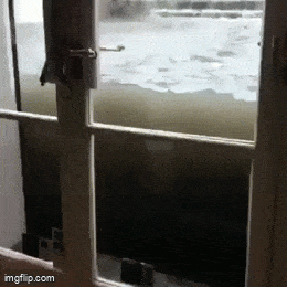Acid GIFs, June 8 (25 gifs)