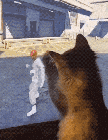 Acid GIFs, June 8 (25 gifs)