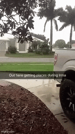 Acid GIFs, June 8 (25 gifs)