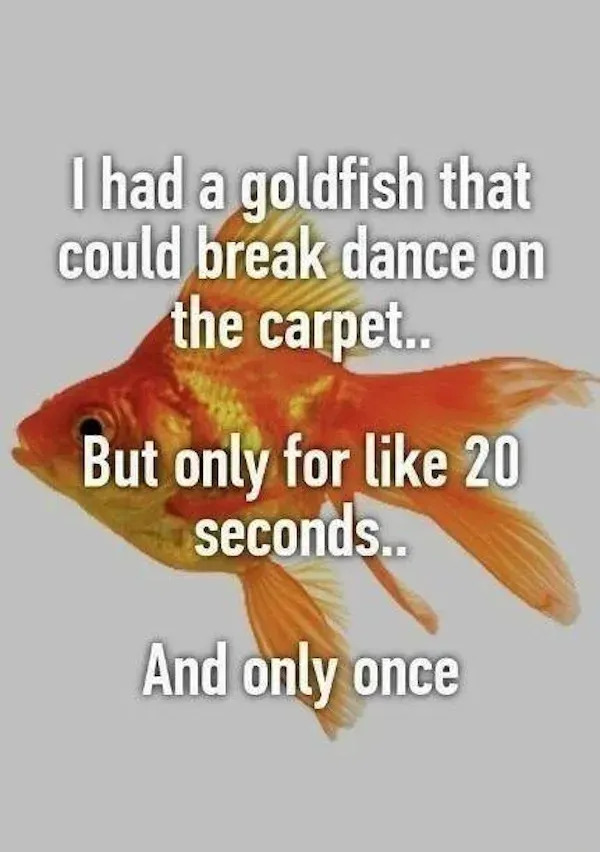 Hilarious Jokes And Photos (20 pics) Hilarious Jokes And Photos (20 pics)