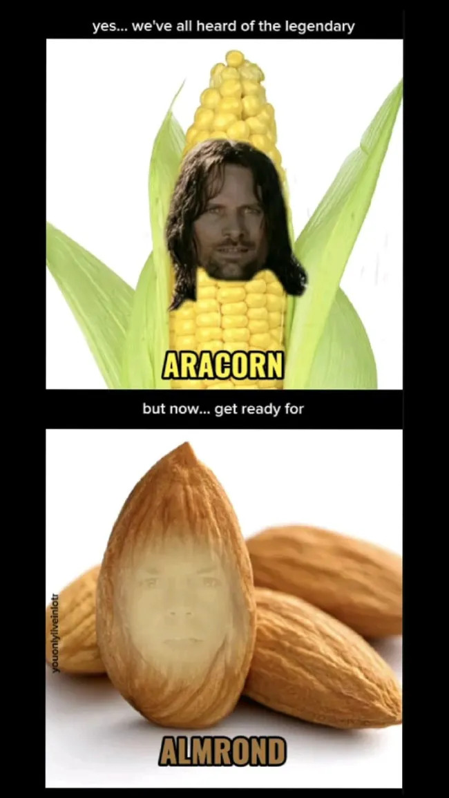 Memes For ''The Lord Of The Rings'' Fans (21 pics)