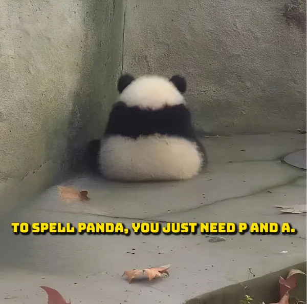 Wise Thoughts (14 pics)