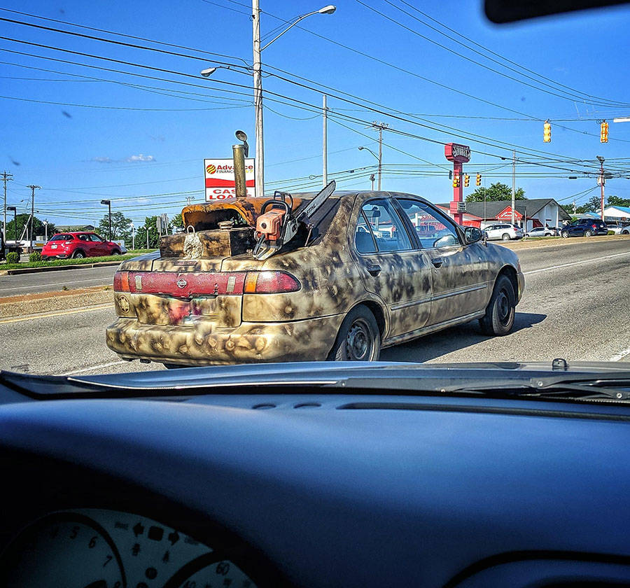 Daily Pictures. Part 1 (70 pics)