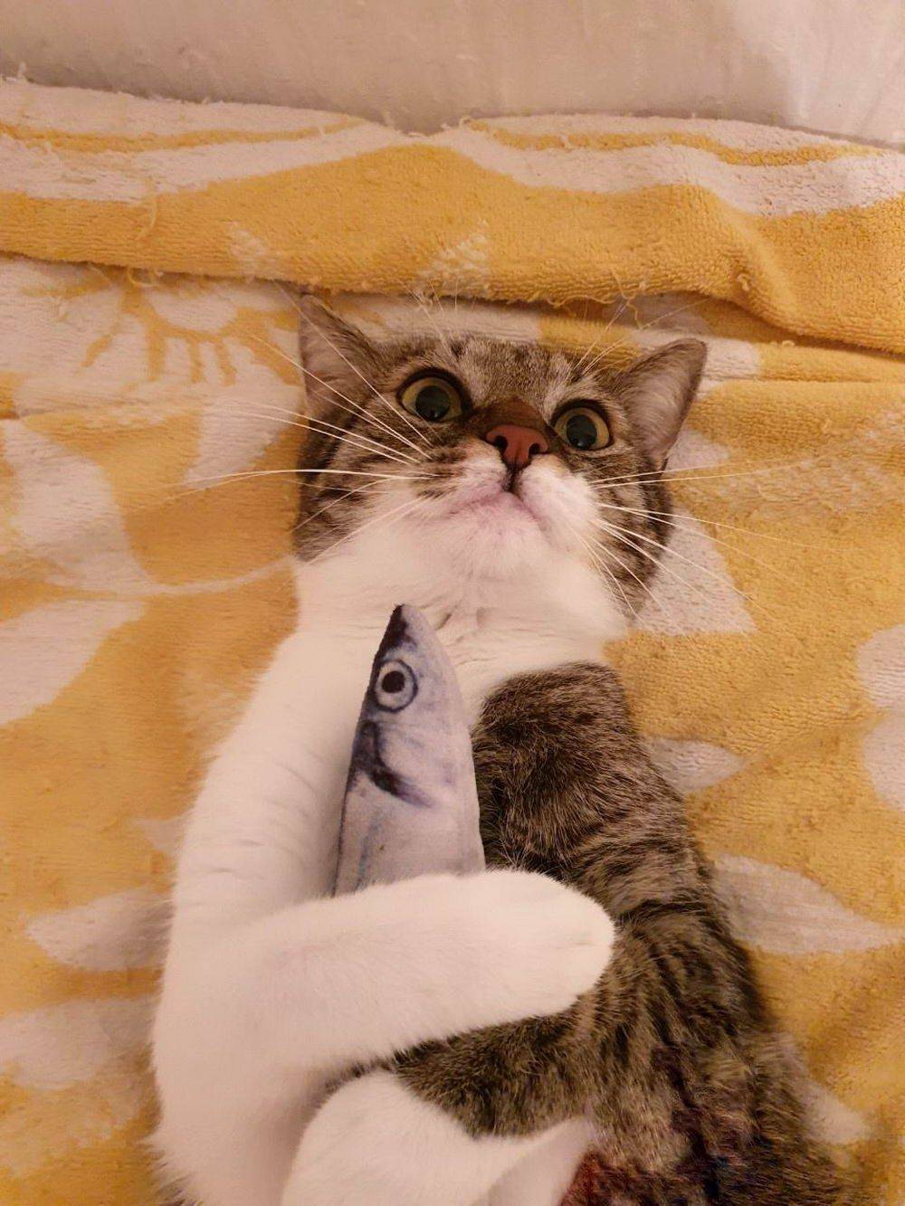 Daily Pictures. Part 2 (69 pics)