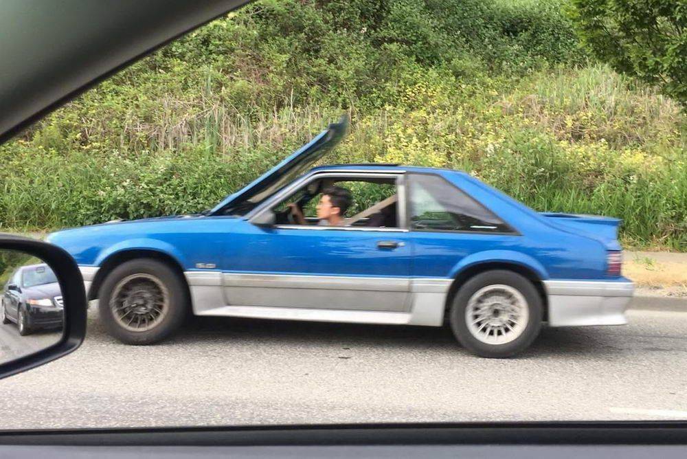 Daily Pictures. Part 2 (69 pics)