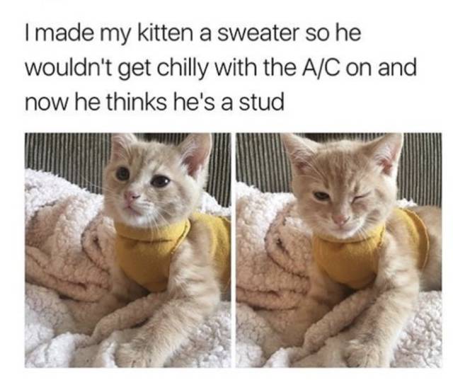 Daily Pictures. Part 2 (69 pics)