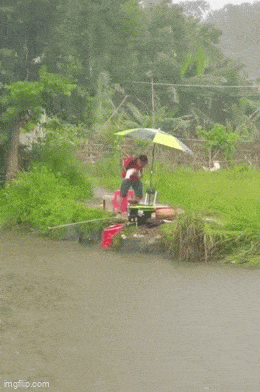Acid GIFs, June 9 (25 gifs)