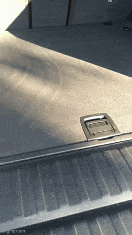 Acid GIFs, June 9 (25 gifs)