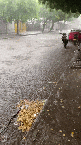 Acid GIFs, June 9 (25 gifs)