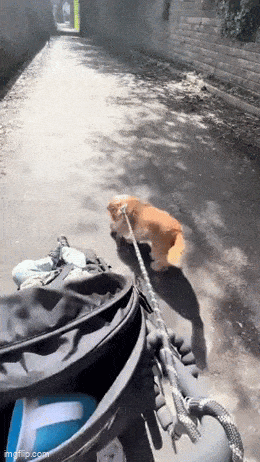 Acid GIFs, June 9 (25 gifs)