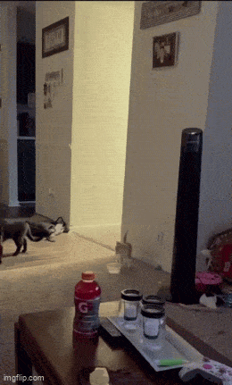 Acid GIFs, June 9 (25 gifs)