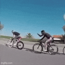 Acid GIFs, June 9 (25 gifs)
