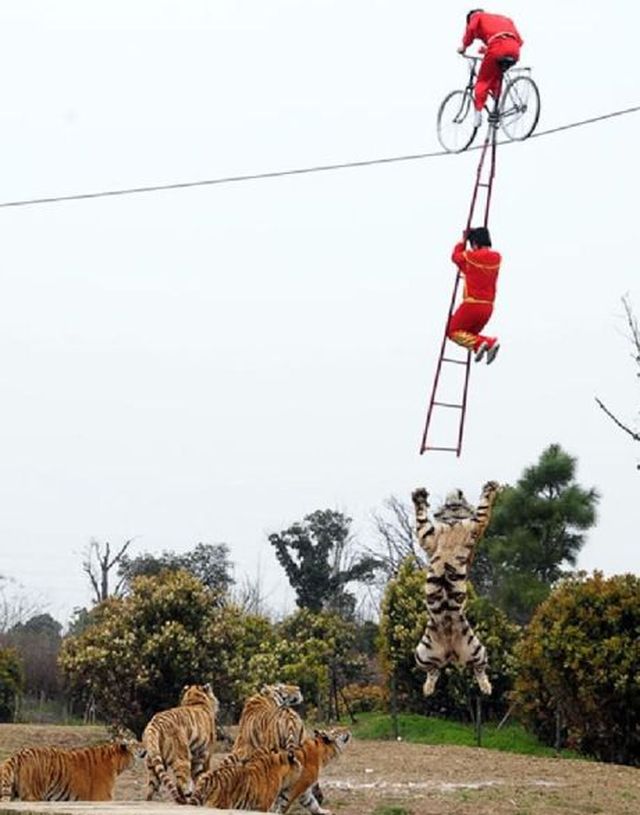 Unfortunate Situations (17 pics)