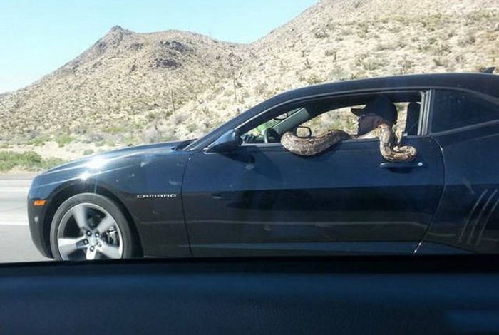 Unsuccessful Day (23 pics)