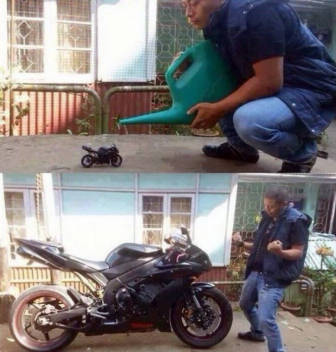 Unsuccessful Day (23 pics)