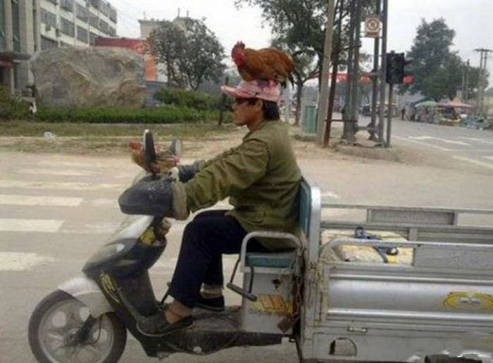 Unsuccessful Day (23 pics)