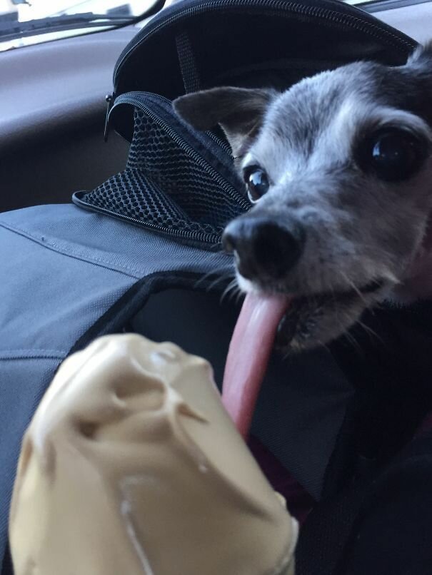 Cute Criminals (19 pics)
