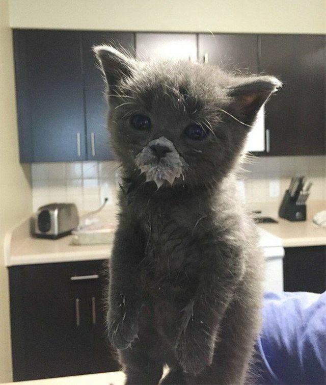 Cute Criminals (19 pics)