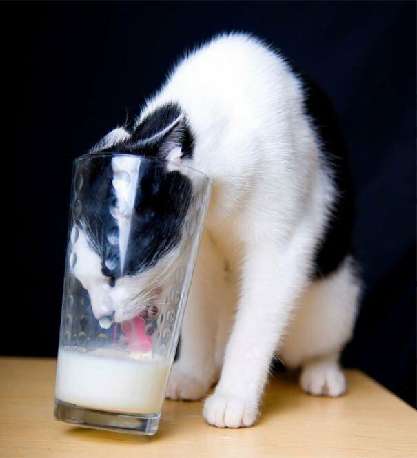 Cute Criminals (19 pics)
