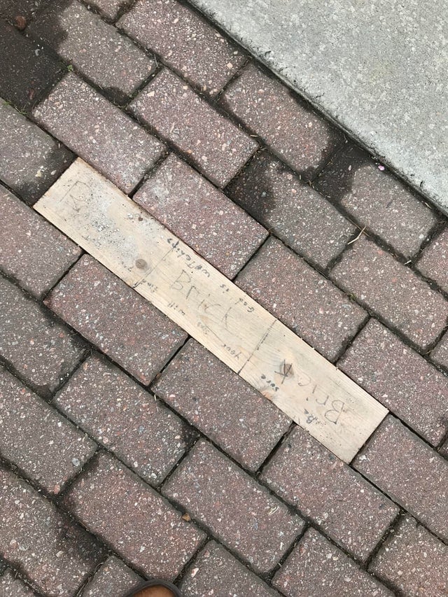 What Is Going On Here? (14 pics)