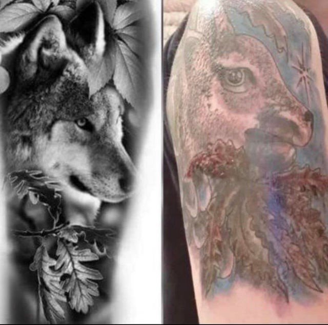 Failed Tattoos (14 pics) Failed Tattoos (14 pics)