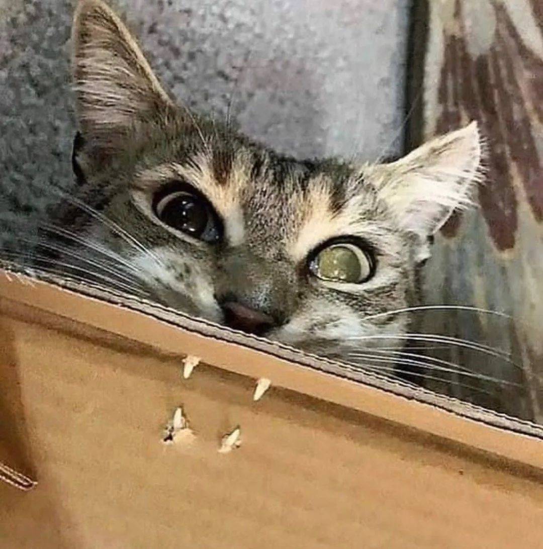 Daily Pictures. Part 1 (73 pics) Daily Pictures. Part 1 (73 pics)