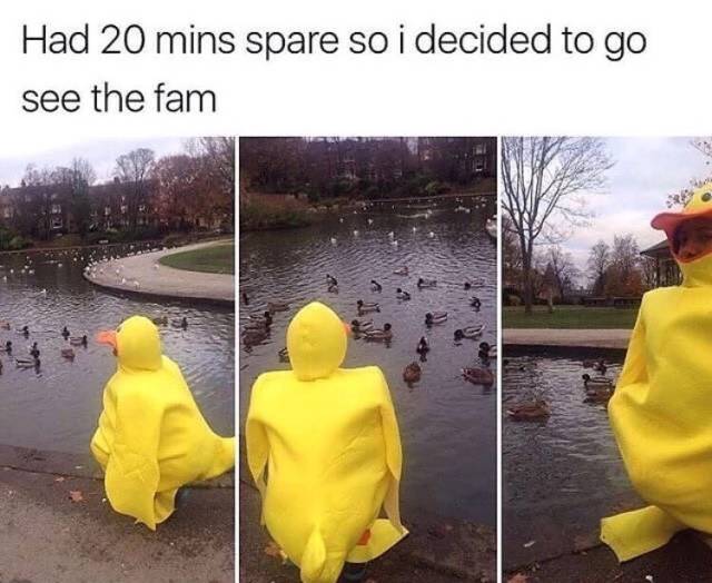 Daily Pictures. Part 2 (72 pics)