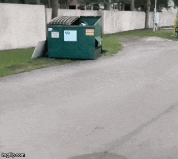 Acid GIFs, June 10 (25 gifs)