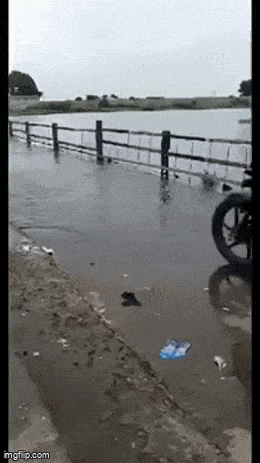 Acid GIFs, June 10 (25 gifs)