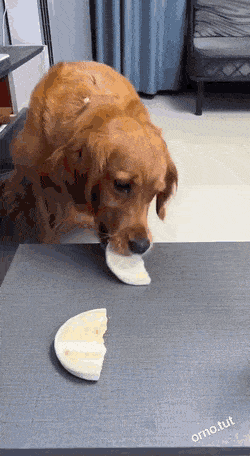Acid GIFs, June 10 (25 gifs)